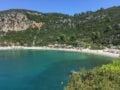 Σκόπελος: Κύκλωμα λαθρεμπορίας προστατευόμενων κοραλλιών αποκάλυψε η ΑΑΔΕ – Στις 800.000 ευρώ εκτιμάται η αξία του φορτίου