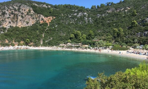 Σκόπελος: Κύκλωμα λαθρεμπορίας προστατευόμενων κοραλλιών αποκάλυψε η ΑΑΔΕ – Αξία φορτίου 800.000 ευρώ