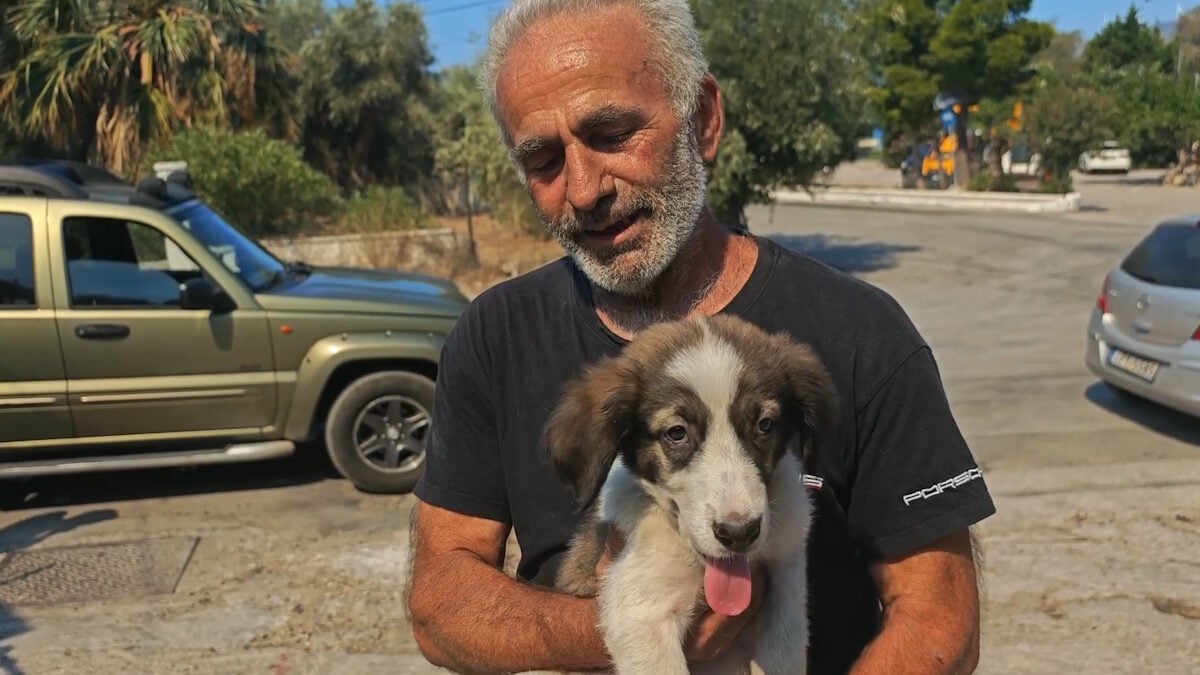 Πόρτο Γερμενό: Ο Μπρούνο το κουτάβι σώθηκε από τον Μάρκο μέσα στις φλόγες – «Χτυπά ακόμα γρήγορα η καρδιά του» 1 Πόρτο Γερμενό: Ο Μπρούνο το κουτάβι σώθηκε από τον Μάρκο μέσα στις φλόγες – «Χτυπά ακόμα γρήγορα η καρδιά του»