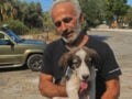 Ένα μικρό «θαύμα» μέσα στις φλόγες στο Πόρτο Γερμενό: Ο Μπρούνο το κουτάβι που σώθηκε από τον Μάρκο – «Χτυπά ακόμα γρήγορα η καρδιά του»