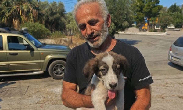 Πόρτο Γερμενό: Ο Μπρούνο το κουτάβι σώθηκε από τον Μάρκο μέσα στις φλόγες – «Χτυπά ακόμα γρήγορα η καρδιά του»