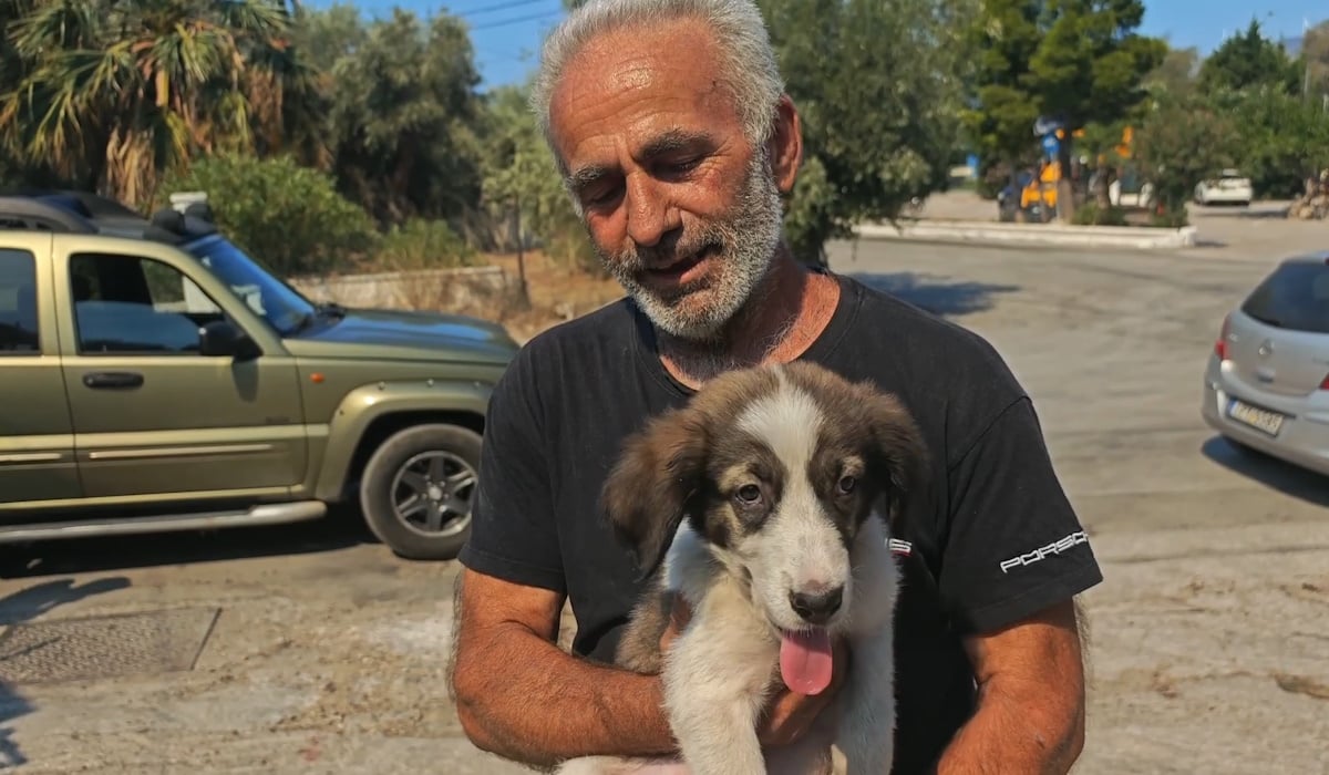 Πόρτο Γερμενό: Ο Μπρούνο το κουτάβι σώθηκε από τον Μάρκο μέσα στις φλόγες – «Χτυπά ακόμα γρήγορα η καρδιά του»