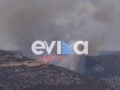 Φωτιά στη Σκύρο – Ισχυρές δυνάμεις της Πυροσβεστικής