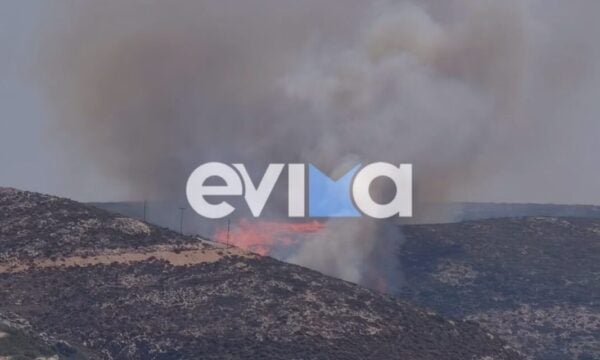 Φωτιά στη Σκύρο – Ισχυρές δυνάμεις της Πυροσβεστικής
