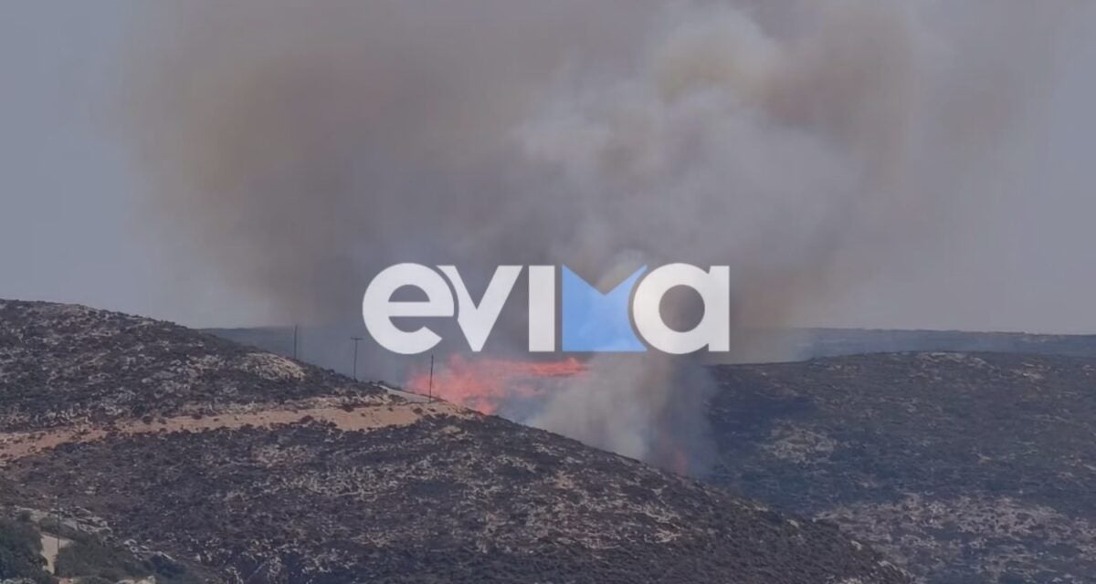 Φωτιά στη Σκύρο – Ισχυρές δυνάμεις της Πυροσβεστικής