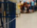 Σούπερ μάρκετ: 1.747 κωδικοί με εκπτώσεις στα ράφια – Τα προϊόντα που εντάσσονται και η μέση μείωση τιμής