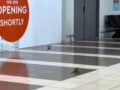 Θεσσαλονίκη: Σπουργίτια πετούν μέσα στο αεροδρόμιο «Μακεδονία» – Βίντεο με τους φτερωτούς «επιβάτες»