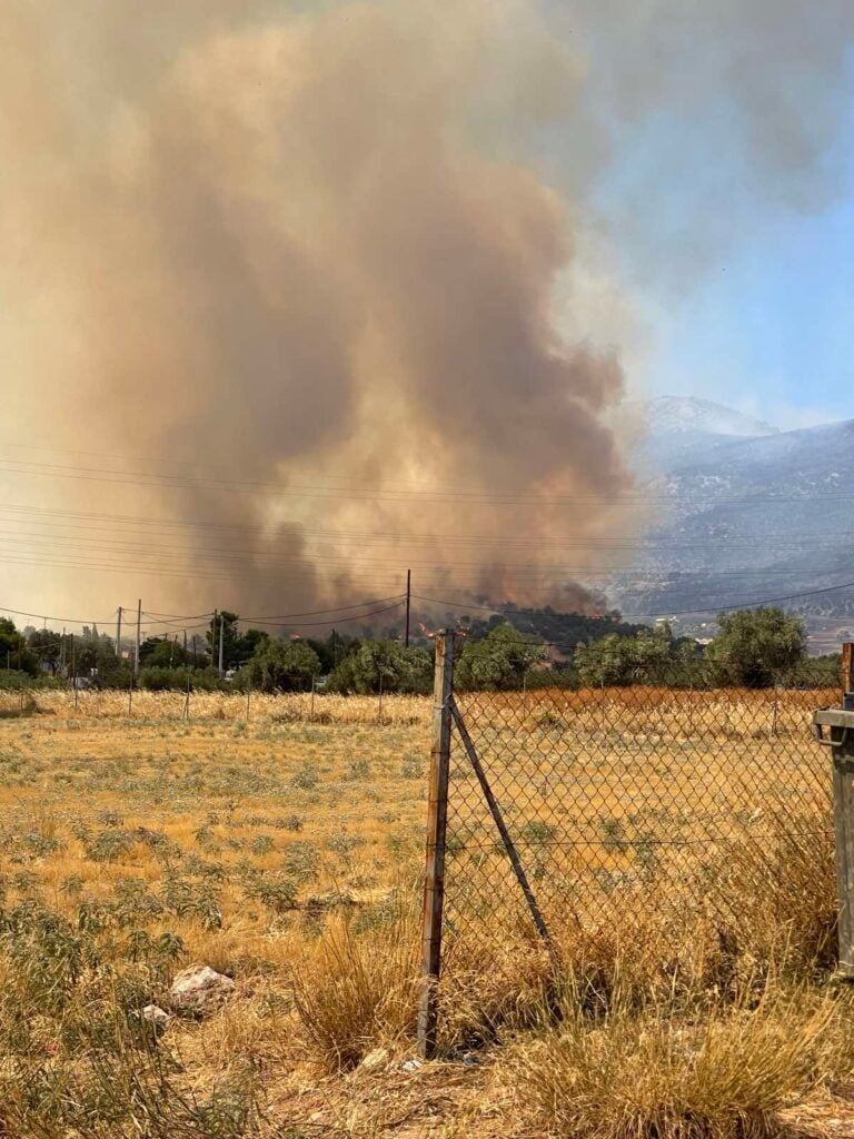 ΣΥΡΙΖΑ, κλιμάκιο, πυρόπληκτες περιοχές, Δυτική Αττική