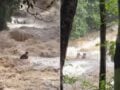 Τρόμος στην Ταϊλάνδη: Πλημμύρα σε καταρράκτη παρέσυρε τουρίστες – Βίντεο
