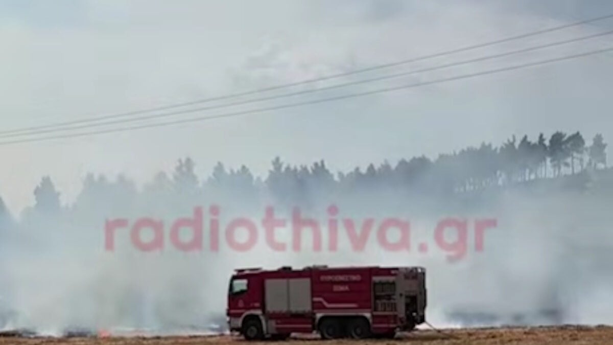 Φωτιά στη Θήβα: Σηκώθηκαν 2 αεροσκάφη και 1 ελικόπτερο 1 Φωτιά στη Θήβα: Σηκώθηκαν 2 αεροσκάφη και 1 ελικόπτερο