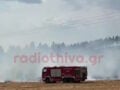 Φωτιά στη Θήβα: Σηκώθηκαν 2 αεροσκάφη και 1 ελικόπτερο
