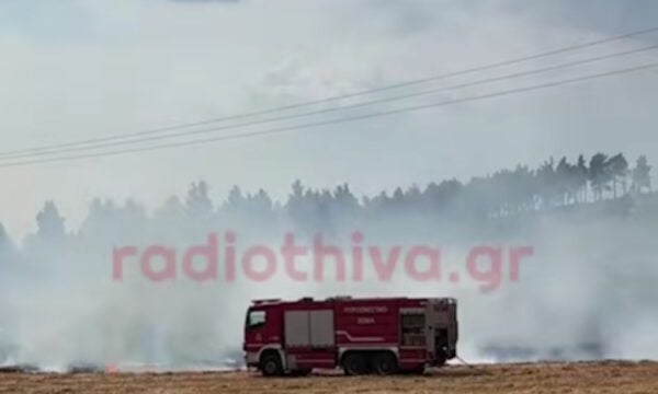 Φωτιά στη Θήβα: Σηκώθηκαν 2 αεροσκάφη και 1 ελικόπτερο