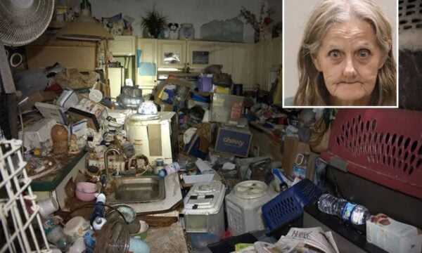 Φλόριντα: 77χρονη ταχυδρόμος κατηγορείται ότι συγκέντρωνε πάνω από 100 γάτες και σκύλους σε σπίτι με άθλιες συνθήκες