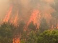 Συναγερμός στη Βαλένθια: Εντολή εκκένωσης κοινότητας λόγω δασικής πυρκαγιάς