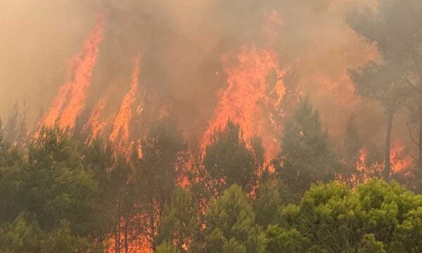Συναγερμός στη Βαλένθια: Εντολή εκκένωσης κοινότητας λόγω δασικής πυρκαγιάς