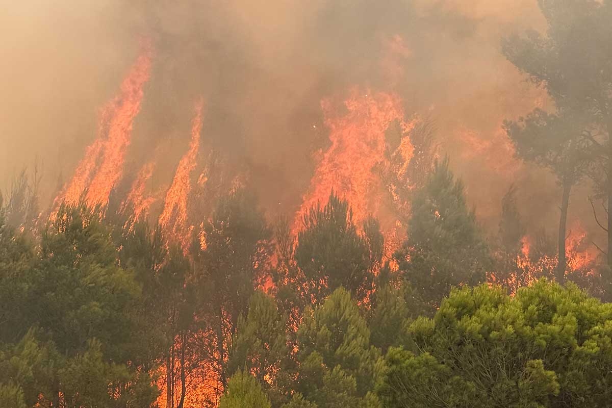 Συναγερμός στη Βαλένθια: Εντολή εκκένωσης κοινότητας λόγω δασικής πυρκαγιάς