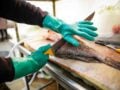 Katsuobushi: Ένα ψάρι που δεν κόβεται με μαχαίρι αλλά μεταμορφώνεται με μοναδική τεχνική – βίντεο