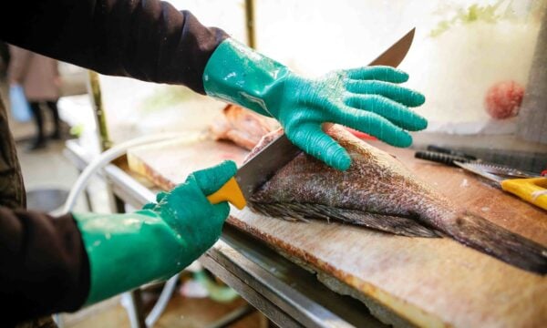 Katsuobushi: Ένα ψάρι που δεν κόβεται με μαχαίρι αλλά μεταμορφώνεται με μοναδική τεχνική – βίντεο