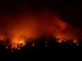 Μαίνεται η φωτιά στο Πόρτο Γερμενό: Νύχτα αγωνίας για τη Βένιζα, εκκενώθηκε η Ψάθα – Μάχη με τις αναζωπυρώσεις στην Φωκίδα