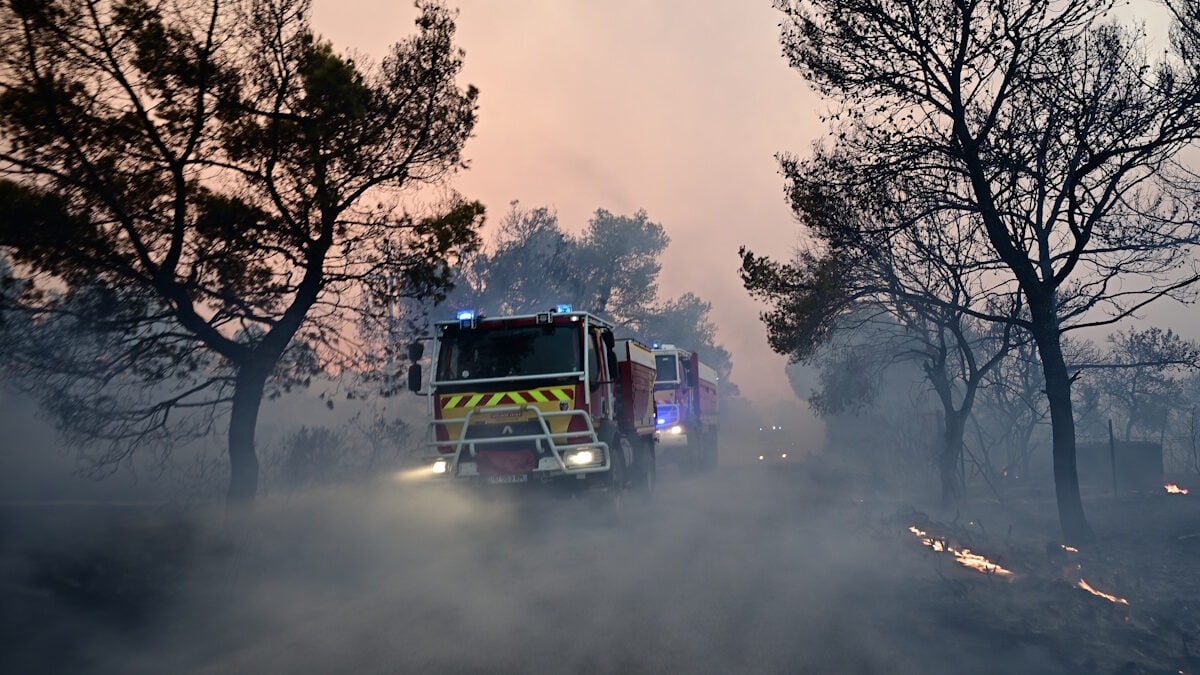 Σύλληψη δημάρχου για τη φωτιά στη Βοιωτία: η απάντηση του δικηγόρου του «Στη δικαιοσύνη δεν χωρούν Ιφιγένειες» 1 Σύλληψη δημάρχου για τη φωτιά στη Βοιωτία: η απάντηση του δικηγόρου του «Στη δικαιοσύνη δεν χωρούν Ιφιγένειες»