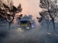 Σύλληψη δημάρχου για τη φωτιά στη Βοιωτία: «Στη δικαιοσύνη δεν χωρούν Ιφιγένειες» – Η απάντηση του δικηγόρου του