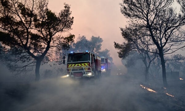Σύλληψη δημάρχου για τη φωτιά στη Βοιωτία: η απάντηση του δικηγόρου του «Στη δικαιοσύνη δεν χωρούν Ιφιγένειες»