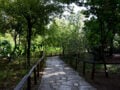 Σύλληψη για τη φωτιά στον Βοτανικό Κήπο Χαϊδαρίου – Ξέσπασε από θαμνοκοπτικό μηχάνημα
