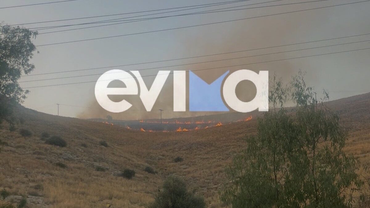 Εύβοια: Συναγερμός στην Πυροσβεστική για δύο πυρκαγιές 2 Εύβοια: Συναγερμός στην Πυροσβεστική για δύο πυρκαγιές
