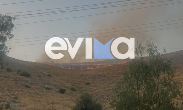 Εύβοια: Συναγερμός στην Πυροσβεστική για δύο πυρκαγιές