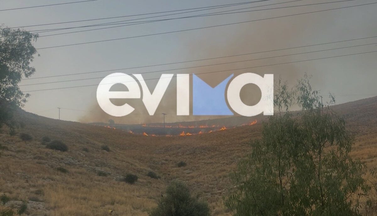 Εύβοια: Συναγερμός στην Πυροσβεστική για δύο πυρκαγιές