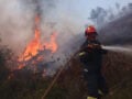 Φωτιά στη Χαλκιδική: Μάχη πυροσβεστών με διάσπαρτες εστίες στη Σίβηρη – Βελτιωμένη η εικόνα, απομακρύνθηκαν 481 κάτοικοι