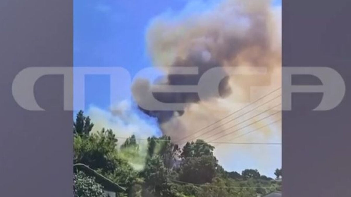 Χαλκιδική: Βίντεο ντοκουμέντο δείχνει τα πρώτα λεπτά της φωτιάς στη Σίβηρη 1 Χαλκιδική: Βίντεο ντοκουμέντο δείχνει τα πρώτα λεπτά της φωτιάς στη Σίβηρη