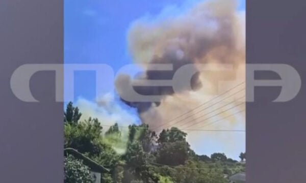 Χαλκιδική: Βίντεο ντοκουμέντο δείχνει τα πρώτα λεπτά της φωτιάς στη Σίβηρη