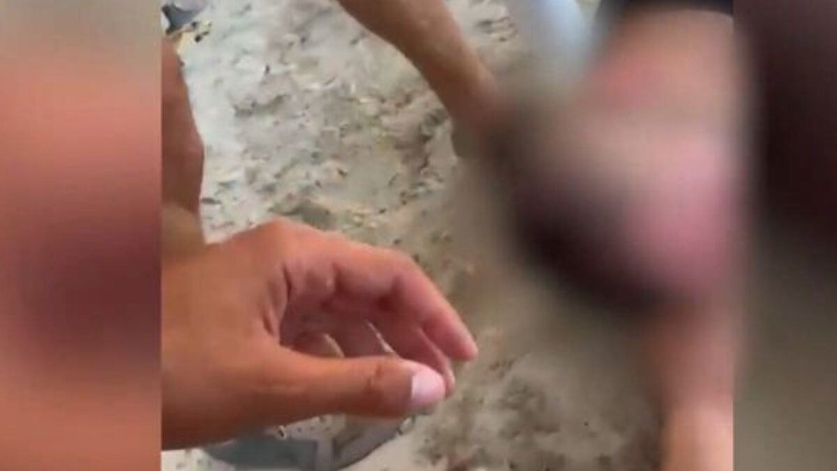 Φωτιά στην Χαλκιδική: Η στιγμή που ναυγοσώστης σώζει πυροσβέστη που έχασε τις αισθήσεις του στην παραλία 1 Φωτιά στην Χαλκιδική: Η στιγμή που ναυγοσώστης σώζει πυροσβέστη που έχασε τις αισθήσεις του στην παραλία