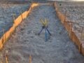 Χανιά: Ακύρωσαν beach party για να μην καταστραφούν οι φωλιές των καρέτα καρέτα – Η παρέμβαση του ΑΡΧΕΛΩΝ