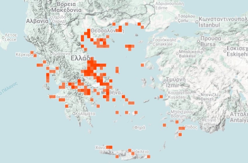 Μωβ μέδουσες: Τι να κάνετε αν σας τσιμπήσει – Διαδραστικός χάρτης με τις περιοχές όπου έχει εντοπιστεί 7 Μωβ μέδουσες: Τι να κάνετε αν σας τσιμπήσει – Διαδραστικός χάρτης με τις περιοχές όπου έχει εντοπιστεί