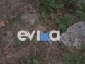 Εύβοια: Χειροβομβίδα του Β΄ Παγκοσμίου Πολέμου βρέθηκε σε παλιά αποθήκη