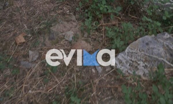 Εύβοια: Χειροβομβίδα του Β΄ Παγκοσμίου Πολέμου βρέθηκε σε παλιά αποθήκη