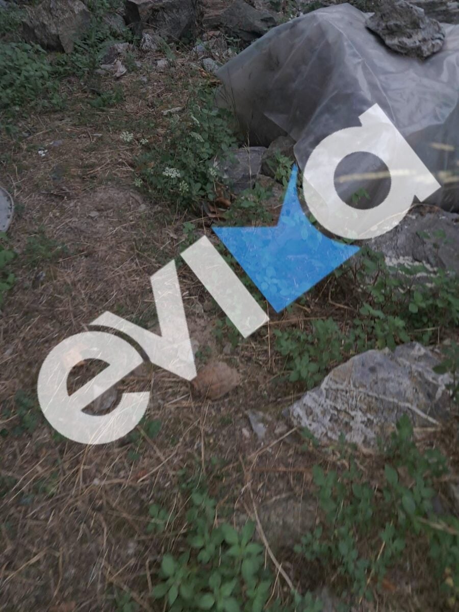 Εύβοια: Χειροβομβίδα του Β΄ Παγκοσμίου Πολέμου βρέθηκε σε παλιά αποθήκη 7 Εύβοια: Χειροβομβίδα του Β΄ Παγκοσμίου Πολέμου βρέθηκε σε παλιά αποθήκη
