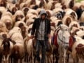 Τουρκία: Τα drones και οι βοσκοί στα βουνά (Vid)