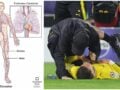 Παγκόσμια αγωνία για τον Κωνσταντίνο Καρέτσα: Τι κρύβεται πίσω από το «πρόβλημα στο κυκλοφορικό» – Τα ερωτήματα για το μέλλον του 18χρονου