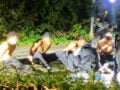 Βρετανία: Απετράπη τρομοκρατική επίθεση σε αμερικανική βάση με 5 συλλήψεις – Αγρότισσα ματαίωσε το σχέδιο
