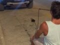 Survivor: Τράβηξε αμάξι δύο τόνων με τα δόντια