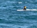 Αλάσκα: 15χρονος επέζησε 2 ημέρες πάνω σε αναποδογυρισμένο σκάφος – Βίντεο από τη διάσωση