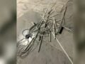ΑΠΘ: Κουκουλοφόροι ξήλωσαν το σύστημα ελέγχου στις φοιτητικές εστίες – Δείτε φωτογραφίες από τον βανδαλισμό