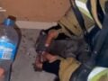Βίντεο από το Κίεβο: Διασώστες παλεύουν να επαναφέρουν στη ζωή γάτα μετά από ρωσικό πλήγμα