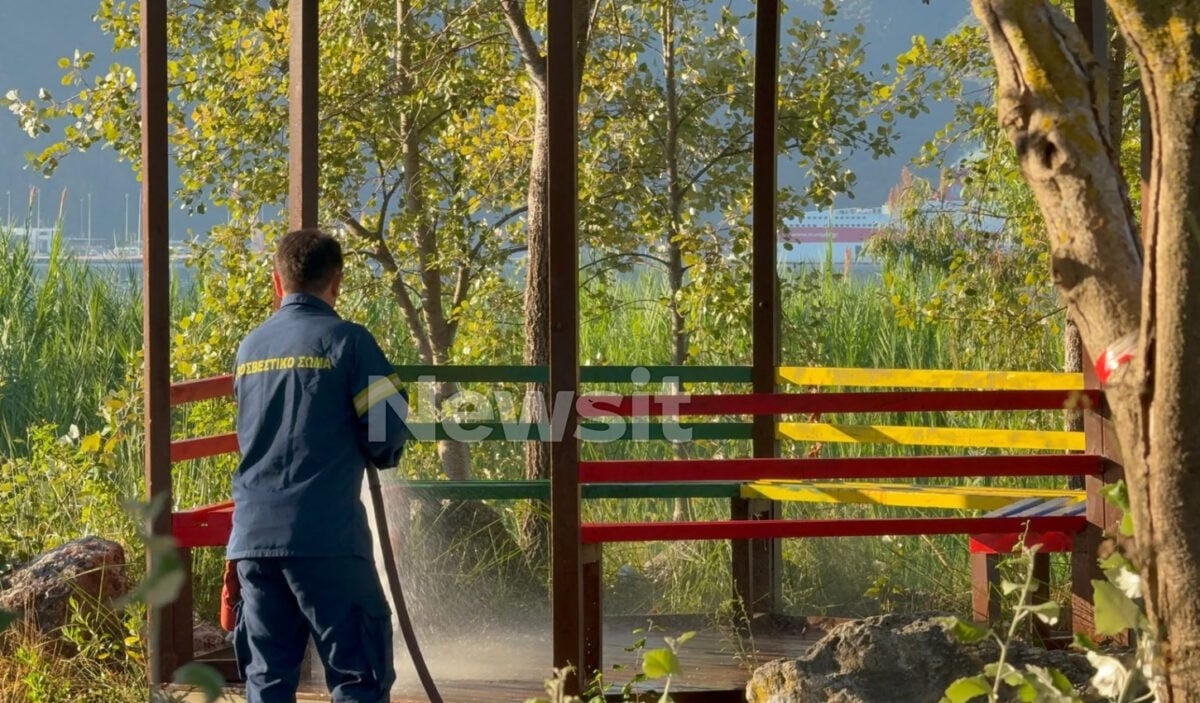 Ηγουμενίτσα: Σκηνοθέτησε ληστεία ο 27χρονος για να καλύψει τη δολοφονία της 25χρονης – Είχαν χωρίσει πριν ένα μήνα 9 Ηγουμενίτσα: Σκηνοθέτησε ληστεία ο 27χρονος για να καλύψει τη δολοφονία της 25χρονης – Είχαν χωρίσει πριν ένα μήνα