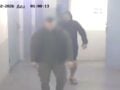 Δολοφονία βαρυποινίτη στον Δομοκό: Πώς εμπλέκεται το όνομα του Αλκέτ Ριζάι