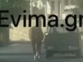 Σοκ στην Εύβοια: Έδεσε τραυματισμένο άλογο στην καρότσα και το έσερνε στον δρόμο – Βίντεο