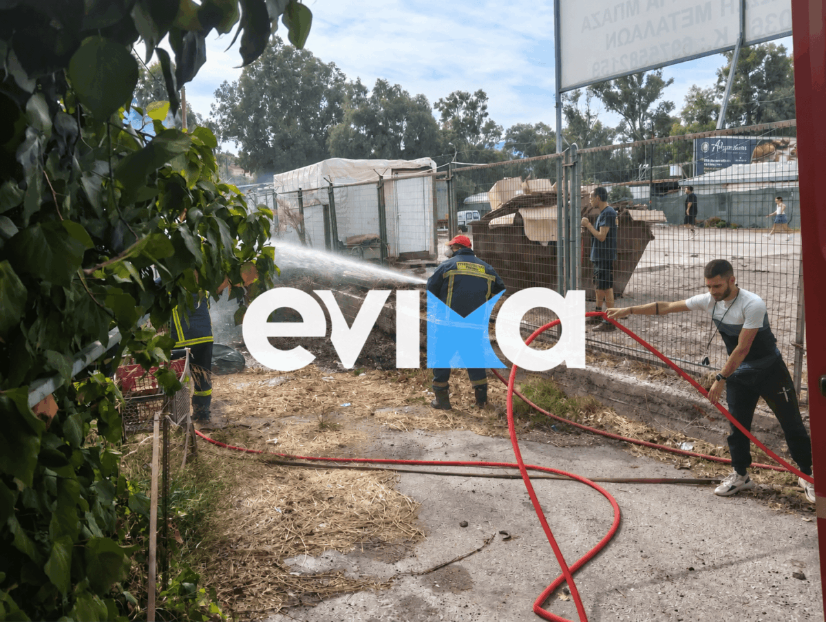 Φωτιά στη Χαλκίδα δίπλα σε κατοικημένη περιοχή: Φωτογραφίες από το σημείο 8 Φωτιά στη Χαλκίδα